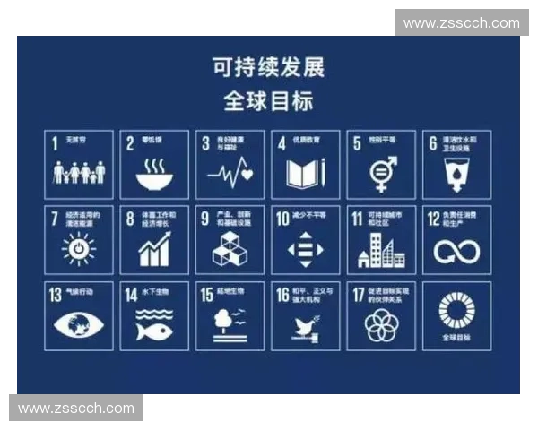 以梯队足球联赛推动青训体系全面升级与可持续发展路径研究的策略分析